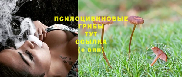соль курить ск Арсеньев